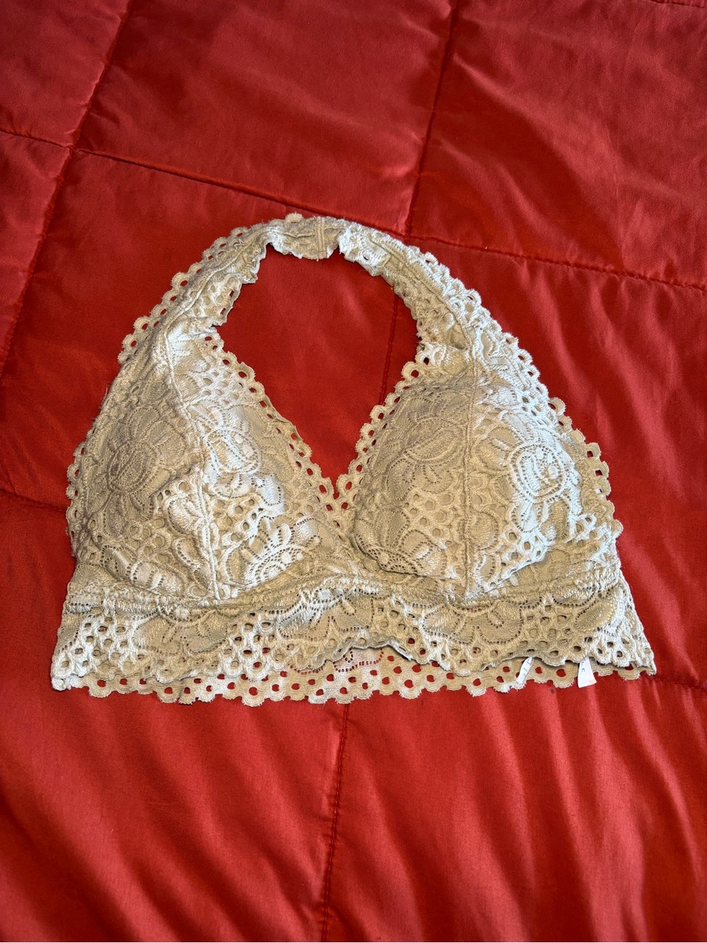 Aeropostale Sage Green Lace Halter Bralette Intricate Floral & scalloped Pattern